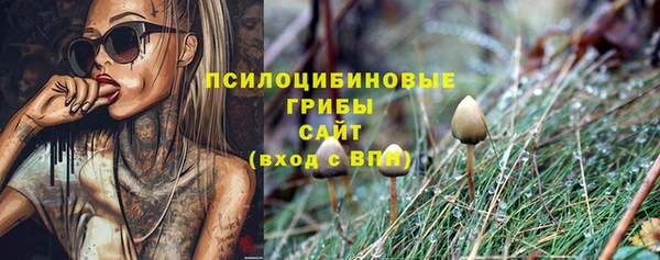 соль ск Балабаново