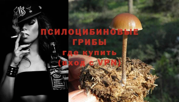 соль ск Балабаново